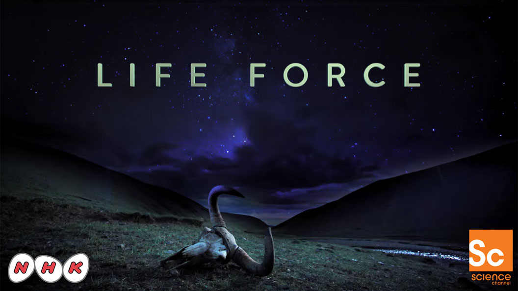 Life Force: Costa Rica